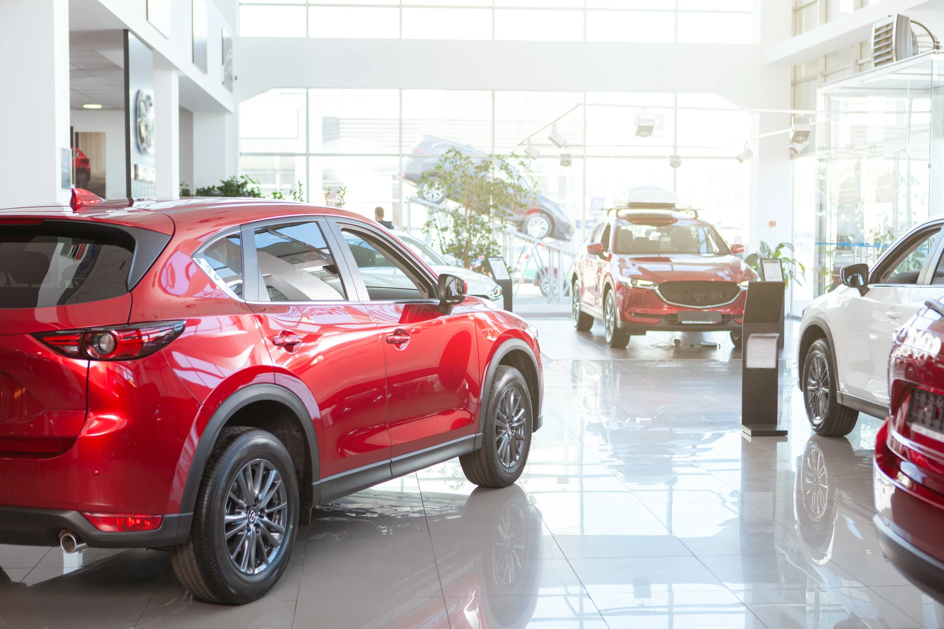 Showroom automobile moderne avec SUV rouge au premier plan et autres véhicules exposés